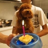 Kirby.2011.06.27-004.JPG