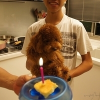 Kirby.2011.06.27-005.JPG