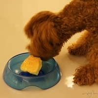 Kirby.2011.06.27-006.JPG