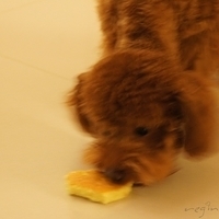 Kirby.2011.06.27-007.JPG