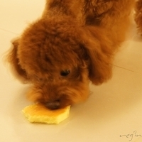 Kirby.2011.06.27-008.JPG
