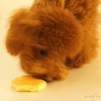 Kirby.2011.06.27-009.JPG