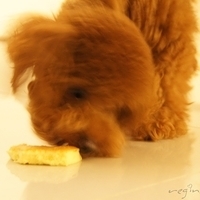 Kirby.2011.06.27-010.JPG