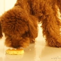 Kirby.2011.06.27-011.JPG