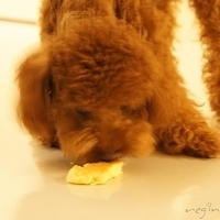 Kirby.2011.06.27-012.JPG