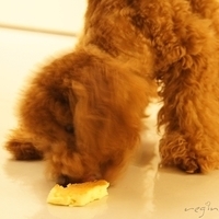 Kirby.2011.06.27-013.JPG