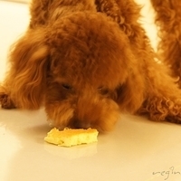 Kirby.2011.06.27-014.JPG