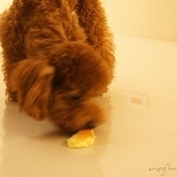 Kirby.2011.06.27-015.JPG