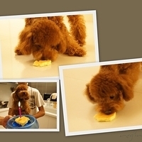 Kirby.2011.06.27-016.jpg