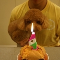Kirby 4Y Bday