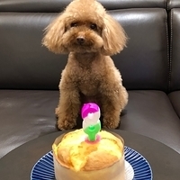Kirby 8Y Bday