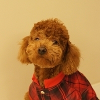Kirby.2011.03.05-001.JPG
