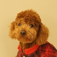 Kirby.2011.03.05-002.JPG