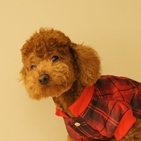 Kirby.2011.03.05-003.JPG