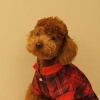 Kirby.2011.03.05-004.JPG