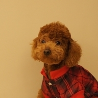 Kirby.2011.03.05-005.JPG