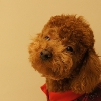 Kirby.2011.03.05-006.JPG