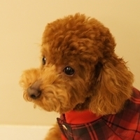 Kirby.2011.03.05-007.JPG