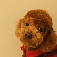 Kirby.2011.03.05-008.JPG