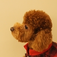 Kirby.2011.03.05-009.JPG