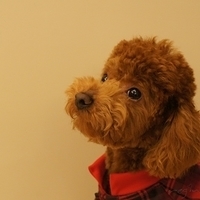 Kirby.2011.03.05-010.JPG