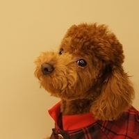 Kirby.2011.03.05-011.JPG
