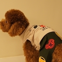 Kirby.2011.03.05-018.JPG