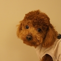 Kirby.2011.03.05-019.JPG