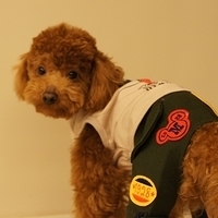 Kirby.2011.03.05-020.JPG