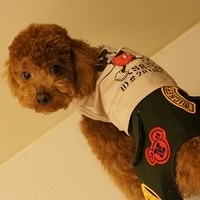 Kirby.2011.03.05-021.JPG