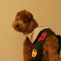 Kirby.2011.03.05-022.JPG