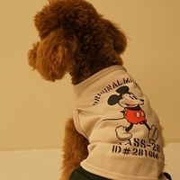 Kirby.2011.03.05-023.JPG