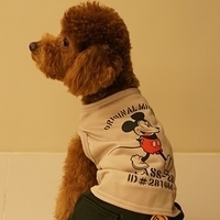 Kirby.2011.03.05-024.JPG
