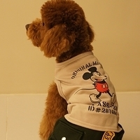 Kirby.2011.03.05-025.JPG
