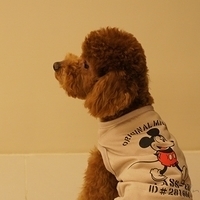 Kirby.2011.03.05-026.JPG