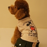 Kirby.2011.03.05-027.JPG