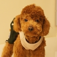 Kirby.2011.03.05-028.JPG