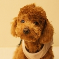 Kirby.2011.03.05-029.JPG