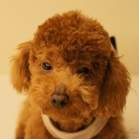 Kirby.2011.03.05-030.JPG