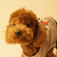 Kirby.2011.03.05-031.JPG