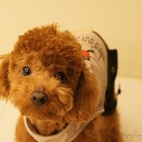 Kirby.2011.03.05-032.JPG