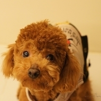 Kirby.2011.03.05-033.JPG