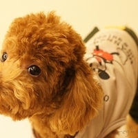 Kirby.2011.03.05-034.JPG