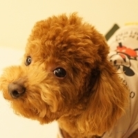 Kirby.2011.03.05-035.JPG