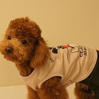 Kirby.2011.03.05-036.JPG