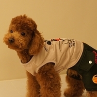 Kirby.2011.03.05-037.JPG