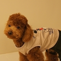 Kirby.2011.03.05-038.JPG