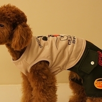 Kirby.2011.03.05-040.JPG