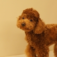 Kirby.2011.03.05-041.JPG