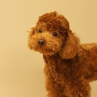 Kirby.2011.03.05-042.JPG